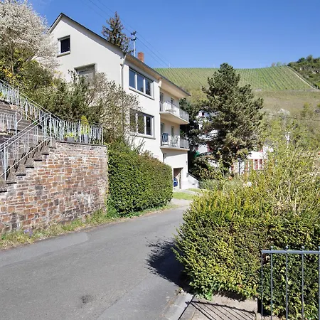 Rheinblick Sankt Goar