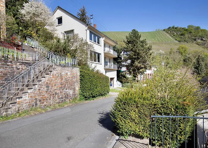 Rheinblick Sankt Goar